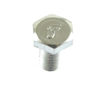 Bolt 5/16 - 18 X 5/8 -51485 F